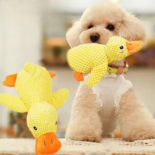 Peluche canard pour chat/chien